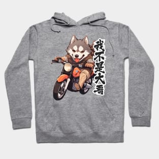 Cartoon Dog Rides Motorcycle to Fun Hoodie